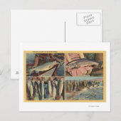 "Vissen is goed in het noordwesten" - Chinook Briefkaart (Voorkant / Achterkant)