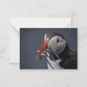 Vissen Notitiekaartje (Voorkant)