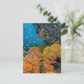 Vissen onder Koraalrif Briefkaart (Staand voorkant)