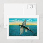 Vissen op Catalina Briefkaart (Voorkant / Achterkant)