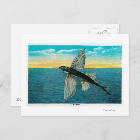 Vissen op Catalina Briefkaart (Voorkant / Achterkant)