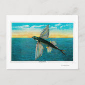 Vissen op Catalina Briefkaart (Voorkant)