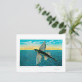 Vissen op Catalina Briefkaart (Staand voorkant)