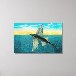 Vissen op Catalina Canvas Afdruk