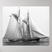 Vissen Schooner Poster (Voorkant)