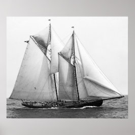 Vissen Schooner Poster