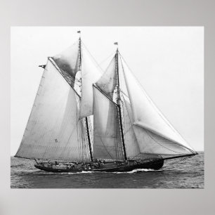 Vissen Schooner Poster