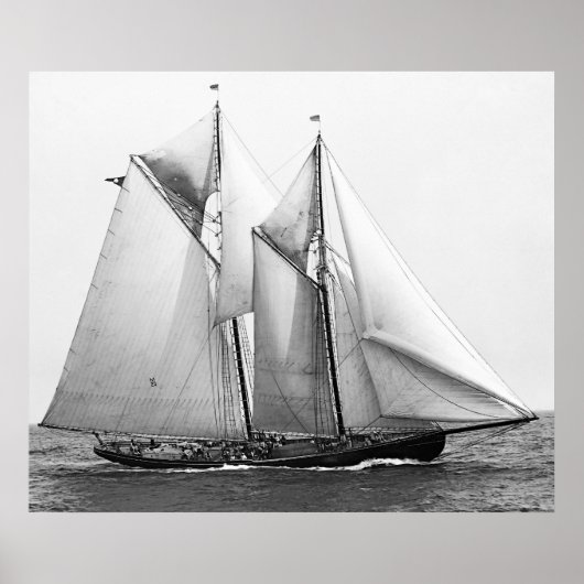 Vissen Schooner Poster (Voorkant)
