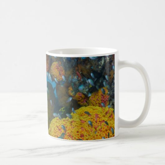 Vissen tussen koraalrif koffiemok (Rechts)
