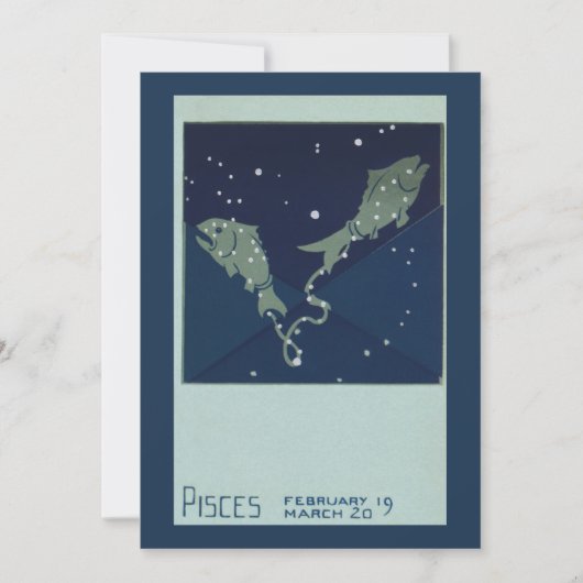 Vissen Vis Constellatie Zodiac Astrologie (Voorkant)