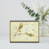 Vissen Vis,  sterrenbeeld Urania's Mirror Briefkaart (Staand voorkant)