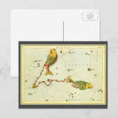Vissen Vis,  sterrenbeeld Urania's Mirror Briefkaart (Voorkant / Achterkant)