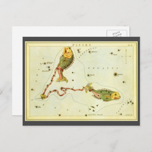 Vissen Vis,  sterrenbeeld Urania's Mirror Briefkaart (Voorkant / Achterkant)