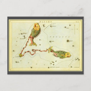 Vissen Vis,  sterrenbeeld Urania's Mirror Briefkaart