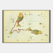 Vissen Vis,  sterrenbeeld Urania's Mirror Inpakpapier Vel (Voorkant 2)