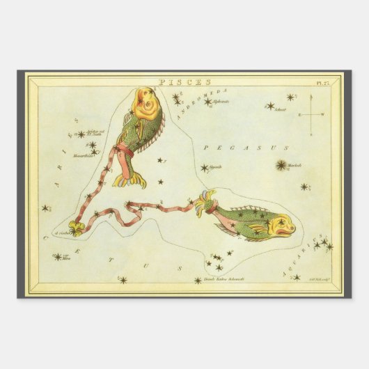 Vissen Vis, sterrenbeeld Urania's Mirror Inpakpapier Vel (Voorkant 2)