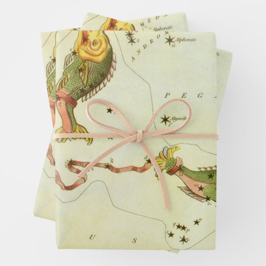 Vissen Vis, sterrenbeeld Urania's Mirror Inpakpapier Vel (In situ)