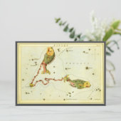 Vissen Vis,  sterrenbeeld Urania's Mirror Kaart (Staand voorkant)