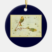 Vissen Vis,  sterrenbeeld Urania's Mirror Keramisch Ornament (Voorkant)