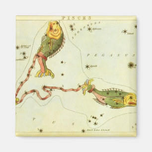 Vissen Vis,  sterrenbeeld Urania's Mirror Magneet