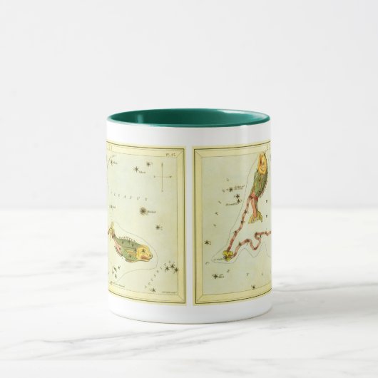 Vissen Vis, sterrenbeeld Urania's Mirror Mok (Midden)