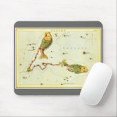 Vissen Vis,  sterrenbeeld Urania's Mirror Muismat (Met muis)