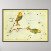 Vissen Vis,  sterrenbeeld Urania's Mirror Poster (Voorkant)