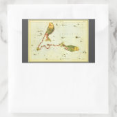 Vissen Vis,  sterrenbeeld Urania's Mirror Rechthoekige Sticker (Tas)