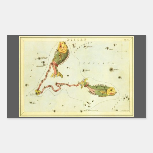 Vissen Vis, sterrenbeeld Urania's Mirror Rechthoekige Sticker (Voorkant)