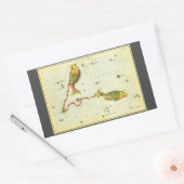 Vissen Vis,  sterrenbeeld Urania's Mirror Rechthoekige Sticker (Envelop)