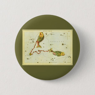 Vissen Vis,  sterrenbeeld Urania's Mirror Ronde Button 5,7 Cm