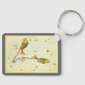 Vissen Vis, sterrenbeeld Urania's Mirror Sleutelhanger (Voorkant)