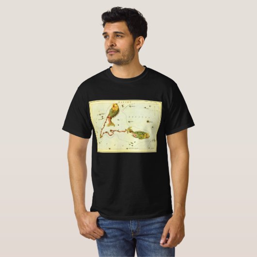 Vissen Vis, sterrenbeeld Urania's Mirror T-shirt (Voorkant volledig)