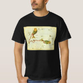 Vissen Vis, sterrenbeeld Urania's Mirror T-shirt (Voorkant)