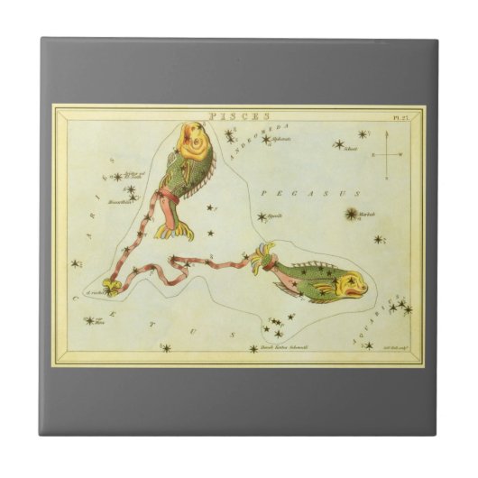 Vissen Vis,  sterrenbeeld Urania's Mirror Tegeltje (Voorkant)