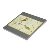 Vissen Vis,  sterrenbeeld Urania's Mirror Tegeltje (Zijkant)