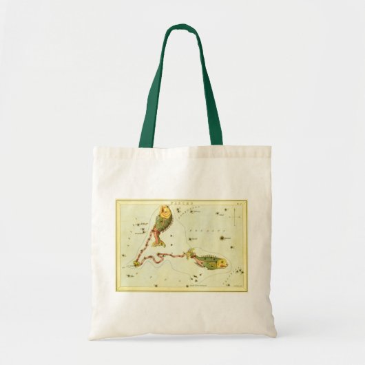 Vissen Vis,  sterrenbeeld Urania's Mirror Tote Bag (Voorkant)