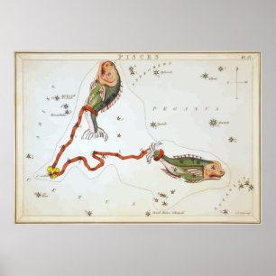 Vissen - Vissen - Horoscoop - Astrologie - Sterren Poster