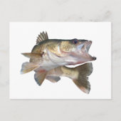 Vissen Walleye Briefkaart (Voorkant)