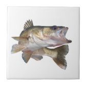 Vissen Walleye Tegeltje (Voorkant)