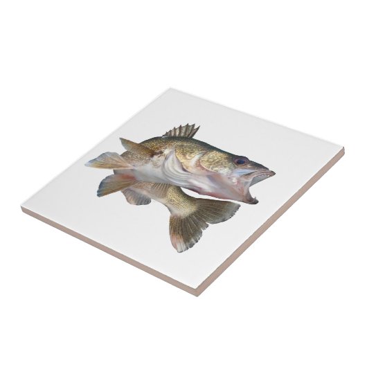 Vissen Walleye Tegeltje (Zijkant)