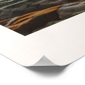 Vissen | Zodiac Astrology Fotokrant Poster (Hoek)