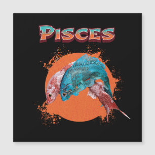Vissen Zodiac Horoscoop Water Astrologie Teken 