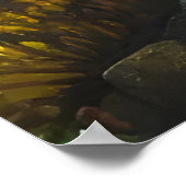 Vissen zwemmen in de zee | AI Art. Poster (Hoek)