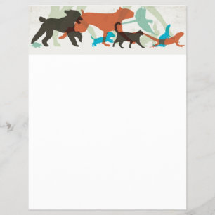 Vissen Zwemmen Vogels Vliegen Honden Lopen Oppas D Flyer