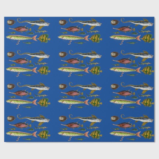 Vissend papier voor onmiddellijke verpakking (Vlak)