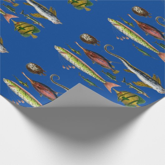 Vissend papier voor onmiddellijke verpakking (Hoek)