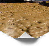 Vissende Fubby op een blikje aan de waterkant. Perfect Poster (Hoek)