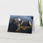 Vissende Fubby op een steen. Bedankkaart (Voorkant)