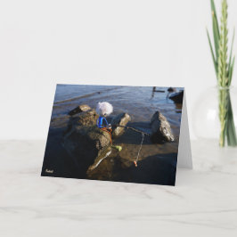 Vissende Fubby op een steen. Bedankkaart